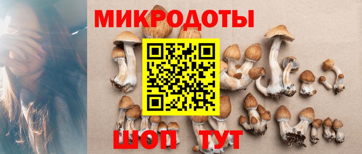 Кольчугино  Галлюциногенные грибы Psilocybe  Вход с VPN  Галлюциногенные грибы Cubensis 